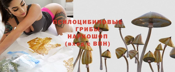 дурь Верхний Тагил