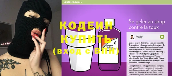 стаф Верея