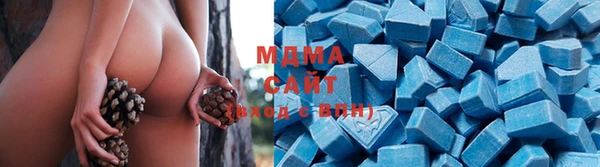 стаф Верея