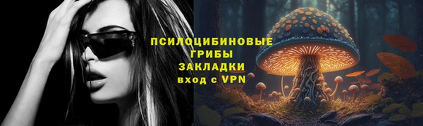 стаф Верея