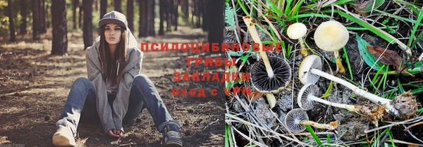 дурь Верхний Тагил