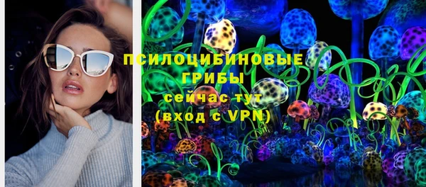 стаф Верея