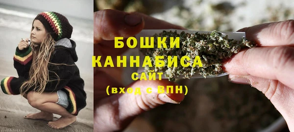 стаф Верея