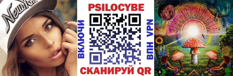 Купить где  Лагань  Псилоцибиновые грибы Psilocybine cubensis 